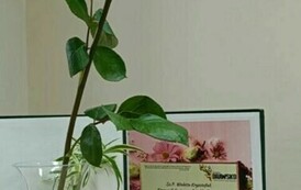 image0000001