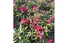 IMG_20230525_163104