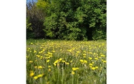 IMG_20230525_161949